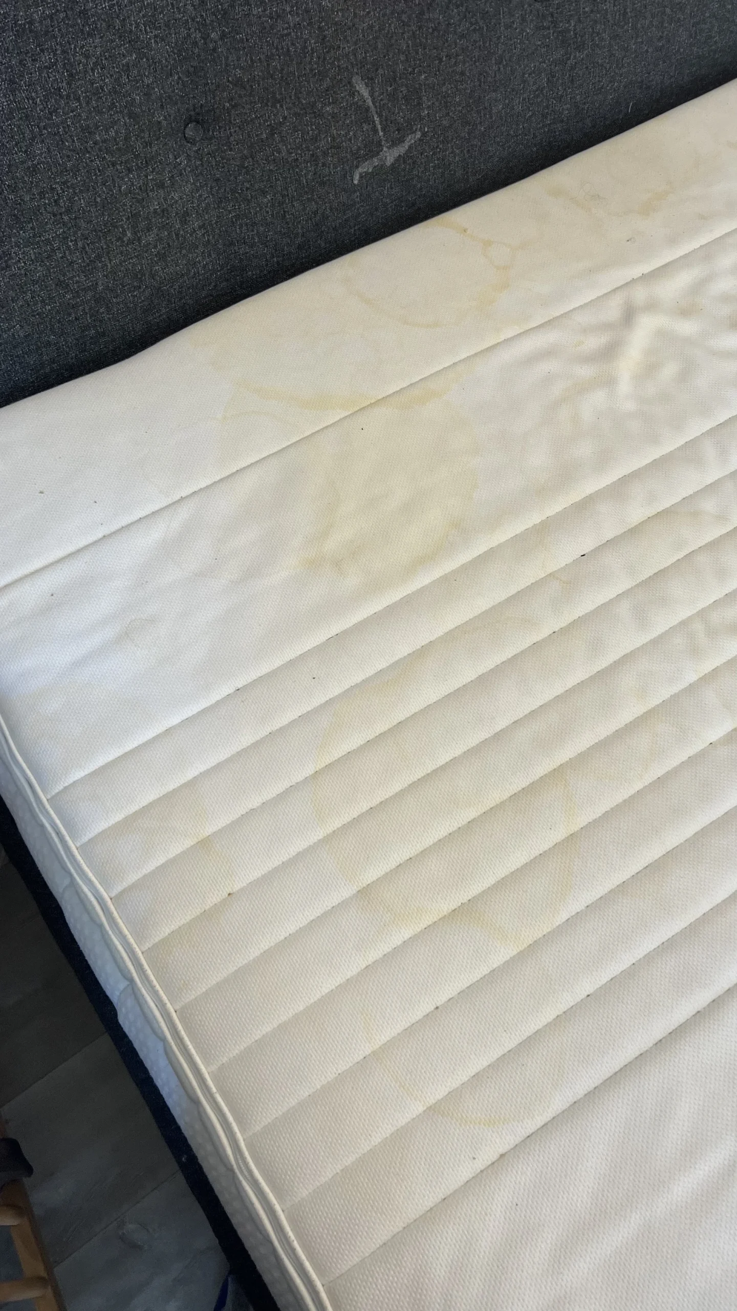 nettoyage matelas genève après : matelas assaini et désinfecté